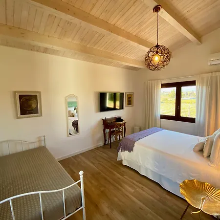 Wine & Cooking Penedes B&B