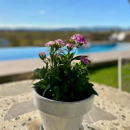 Bed & Breakfast Wine & Cooking Penedes