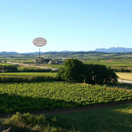 Wine & Cooking Penedes Bed & Breakfast Pla del Panades