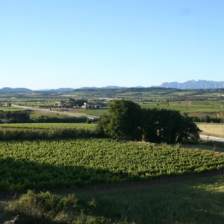 Frühstückspension Wine & Cooking Penedes Pla del Panadés