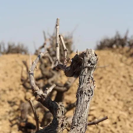 Wine & Cooking Penedes 4*